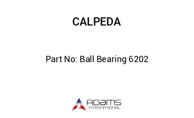 Ball Bearing 6202