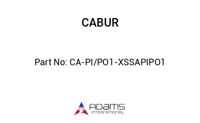 CA-PI/PO1-XSSAPIPO1