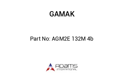 AGM2E 132M 4b