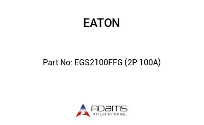 EGS2100FFG (2P 100A)