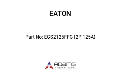 EGS2125FFG (2P 125A)