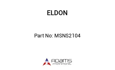 MSNS2104