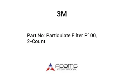 Particulate Filter P100, 2-Count