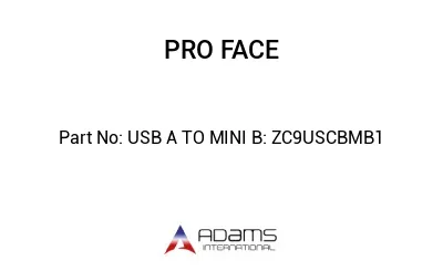 USB A TO MINI B: ZC9USCBMB1